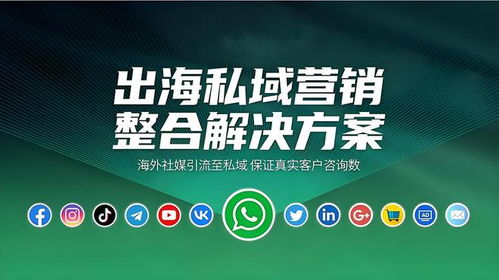 海外社媒代运营性价比深度分析 如何为您的企业挑选合适的优质服务